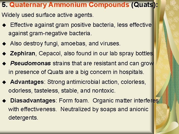 5. Quaternary Ammonium Compounds (Quats): Widely used surface active agents. u Effective against gram