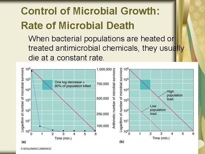 Control of Microbial Growth: Rate of Microbial Death When bacterial populations are heated or