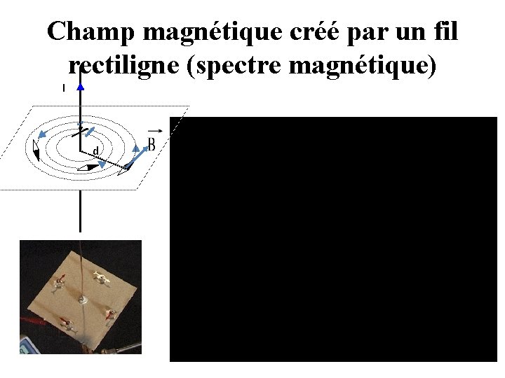 Champ magnétique créé par un fil rectiligne (spectre magnétique) I d 