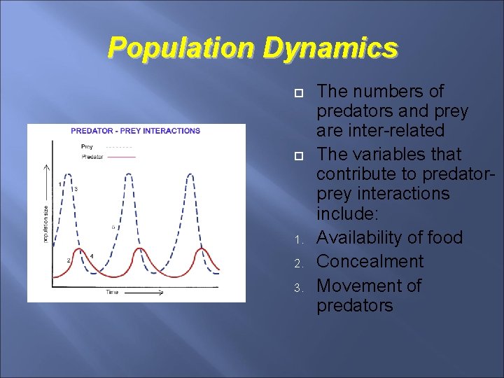 Population Dynamics 1. 2. 3. The numbers of predators and prey are inter-related The