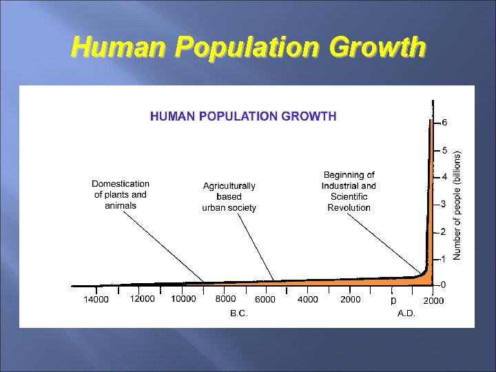 Human Population Growth 