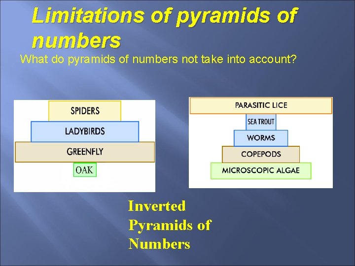 Limitations of pyramids of numbers What do pyramids of numbers not take into account?