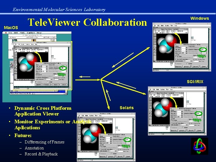 Environmental Molecular Sciences Laboratory Mac. OS Tele. Viewer Collaboration Windows 300 ps SGI/IRIX •