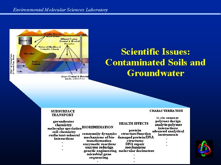 Environmental Molecular Sciences Laboratory Scientific Issues: Contaminated Soils and Groundwater 