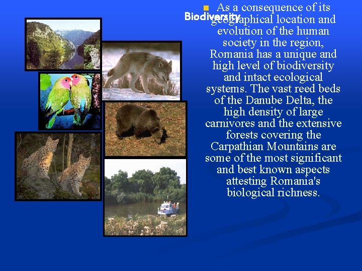 As a consequence of its Biodiversity geographical location and evolution of the human society As a consequence of its Biodiversity geographical location and evolution of the human society
