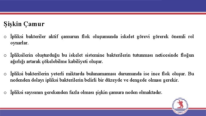 Şişkin Çamur o İpliksi bakteriler aktif çamurun flok oluşumunda iskelet görevi görerek önemli rol