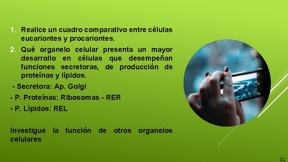 1. Realice un cuadro comparativo entre células eucariontes y procariontes. 2. Qué organelo celular