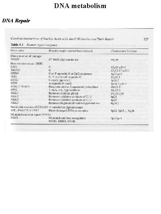 DNA metabolism DNA Repair 