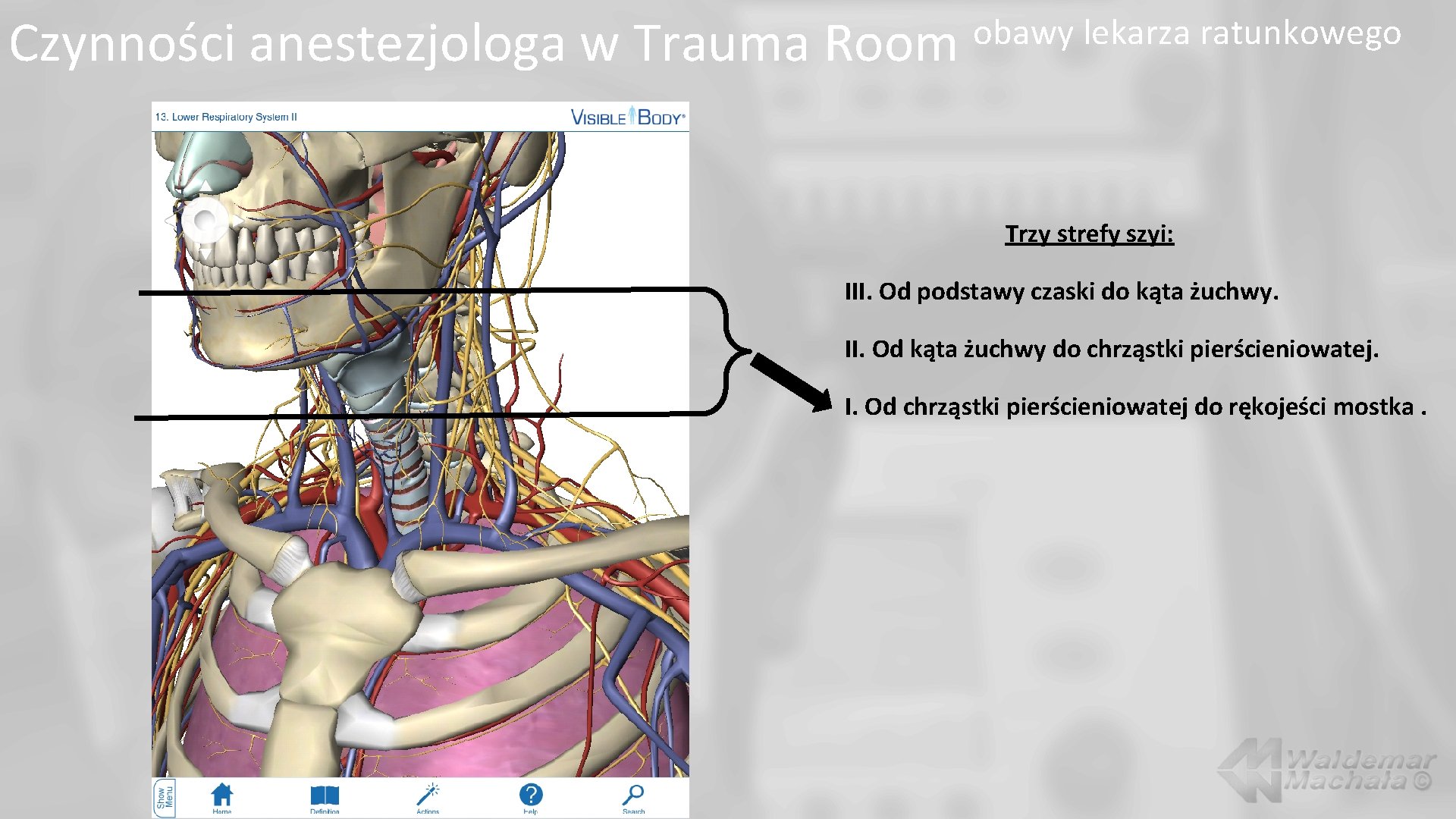 Czynności anestezjologa w Trauma Room obawy lekarza ratunkowego Trzy strefy szyi: III. Od podstawy