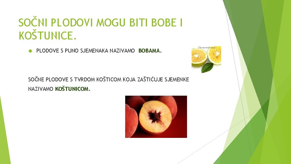 SOČNI PLODOVI MOGU BITI BOBE I KOŠTUNICE. PLODOVE S PUNO SJEMENAKA NAZIVAMO BOBAMA. SOČNE