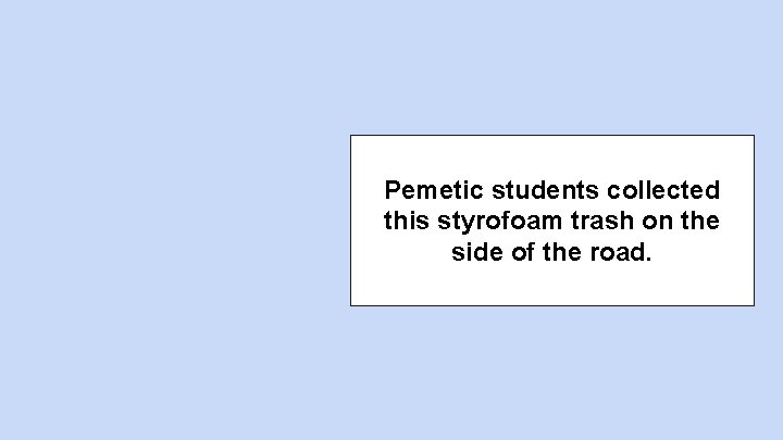 Pemetic students collected this styrofoam trash on the side of the road. 