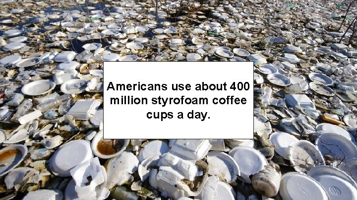 Americans use about 400 million styrofoam coffee cups a day. 