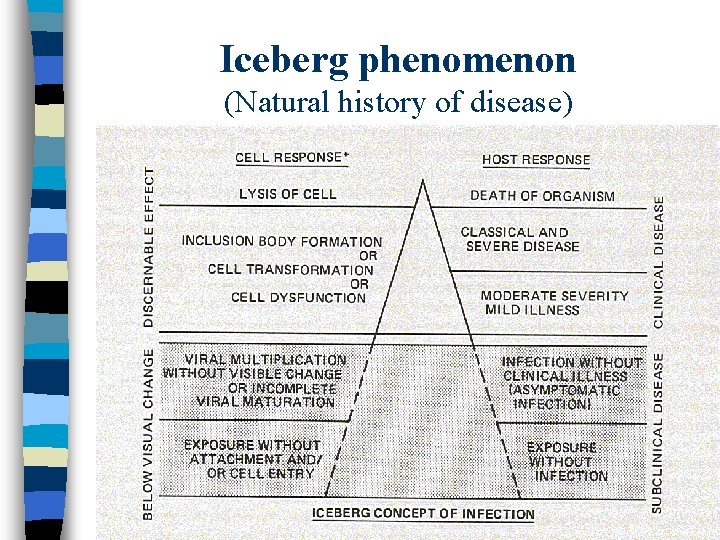 Iceberg phenomenon (Natural history of disease) 