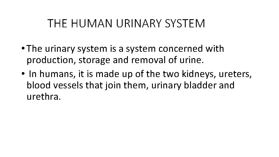 THE HUMAN URINARY SYSTEM • The urinary system is a system concerned with production,