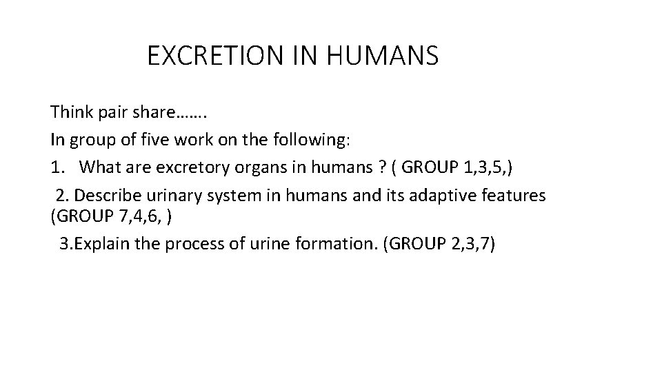 EXCRETION IN HUMANS Think pair share……. In group of five work on the following: