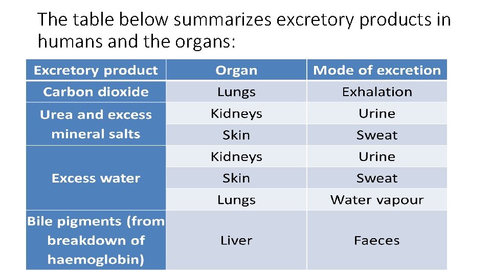 The table below summarizes excretory products in humans and the organs: 