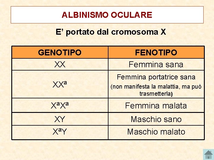 ALBINISMO OCULARE E’ portato dal cromosoma X GENOTIPO XX XXa FENOTIPO Femmina sana Femmina