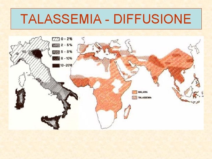 TALASSEMIA - DIFFUSIONE 