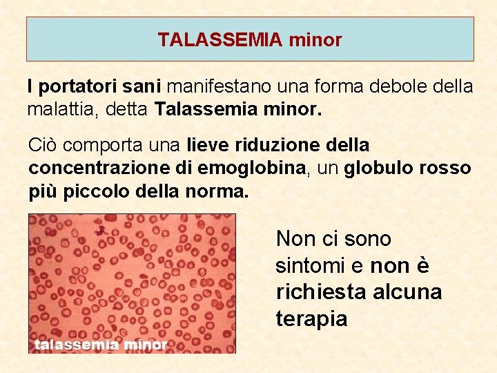 TALASSEMIA minor I portatori sani manifestano una forma debole della malattia, detta Talassemia minor.