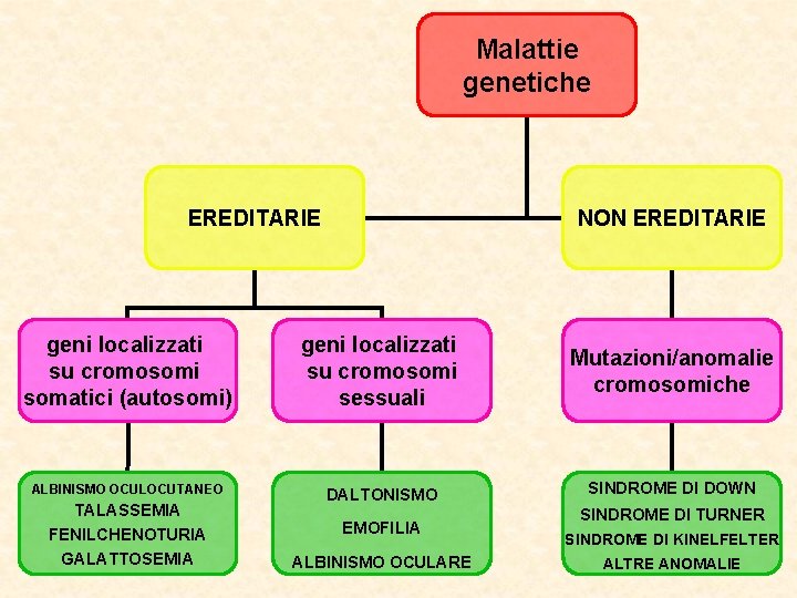Malattie genetiche EREDITARIE NON EREDITARIE geni localizzati su cromosomi somatici (autosomi) geni localizzati su