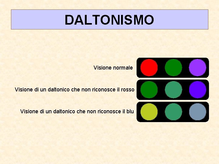 DALTONISMO Visione normale Visione di un daltonico che non riconosce il rosso Visione di