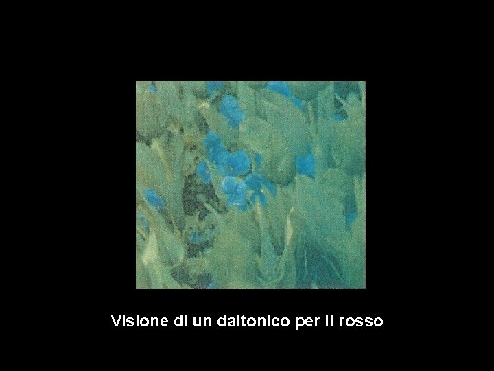 Visione di un daltonico per il rosso 