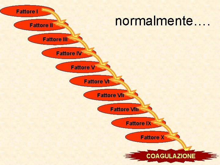 Fattore I normalmente…. Fattore III Fattore IV Fattore VIII Fattore IX Fattore X COAGULAZIONE