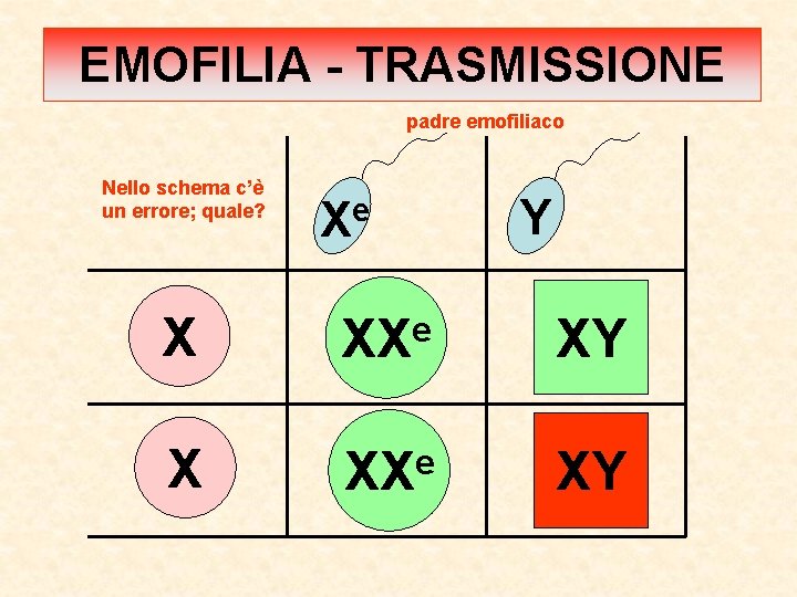 EMOFILIA - TRASMISSIONE padre emofiliaco Nello schema c’è un errore; quale? Xe Y X