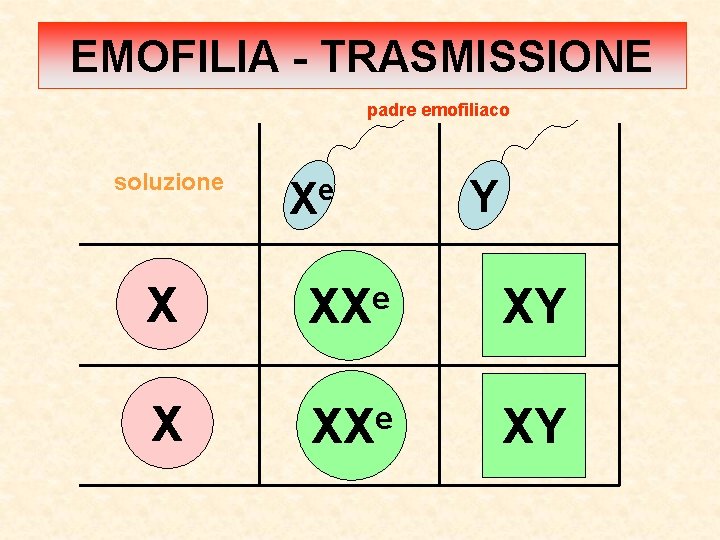 EMOFILIA - TRASMISSIONE padre emofiliaco soluzione Xe Y X XXe XY 