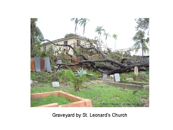 Graveyard by St. Leonard’s Church 