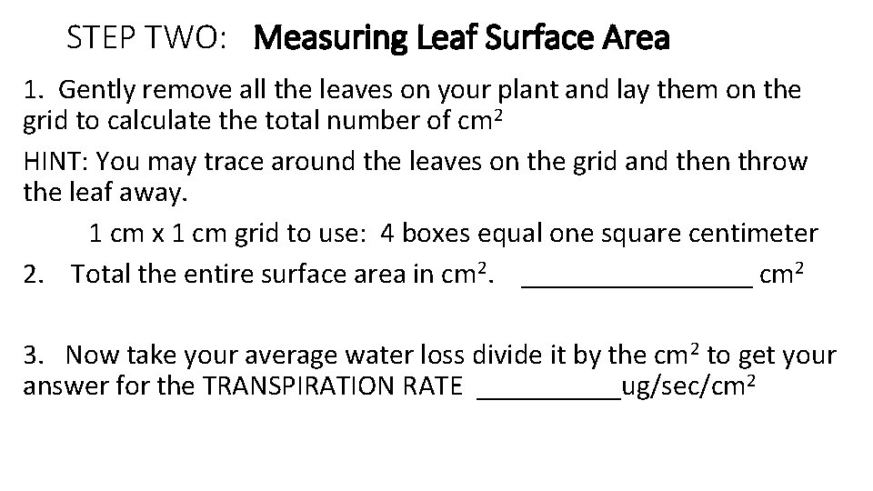 STEP TWO: Measuring Leaf Surface Area 1. Gently remove all the leaves on your