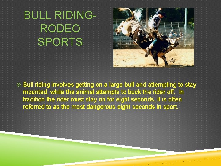 BULL RIDINGRODEO SPORTS Bull riding involves getting on a large bull and attempting to