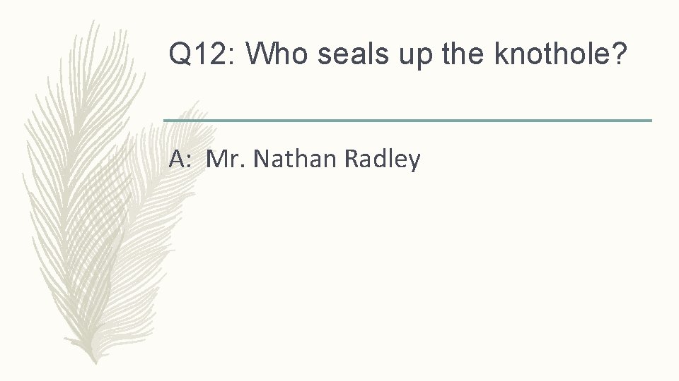 Q 12: Who seals up the knothole? A: Mr. Nathan Radley 