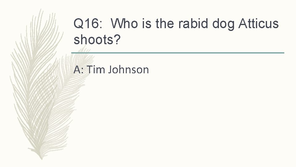 Q 16: Who is the rabid dog Atticus shoots? A: Tim Johnson 