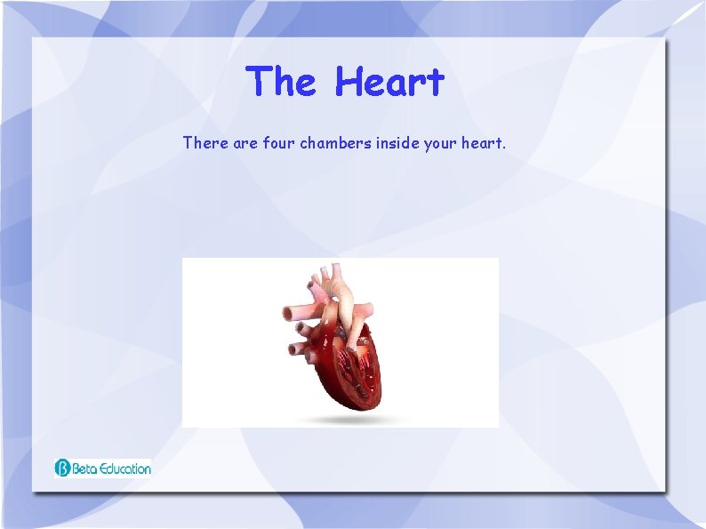 The Heart There are four chambers inside your heart. 