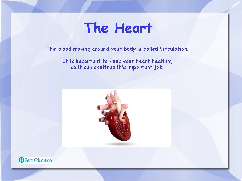 The Heart The blood moving around your body is called Circulation. It is important