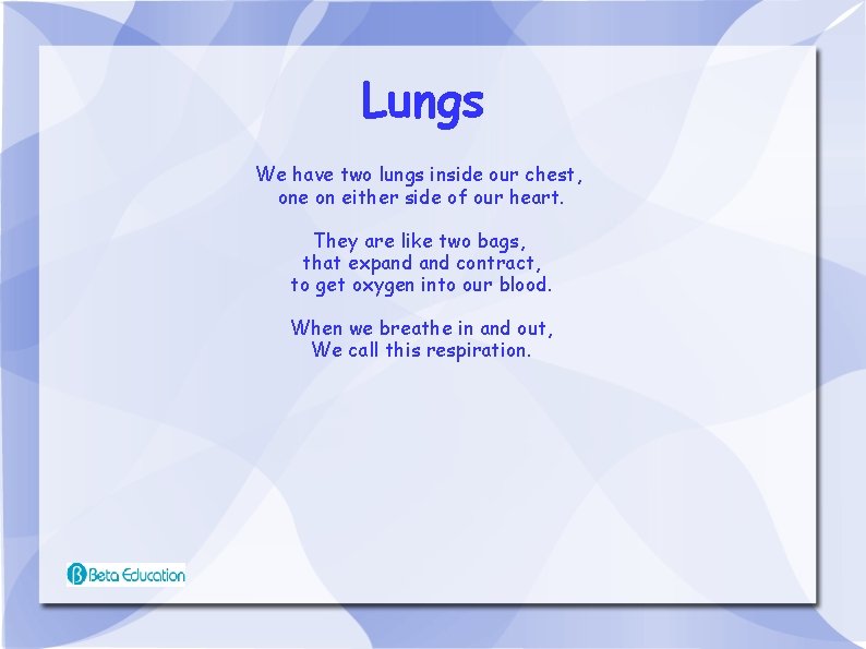 Lungs We have two lungs inside our chest, one on either side of our