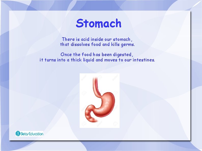 Stomach There is acid inside our stomach, that dissolves food and kills germs. Once