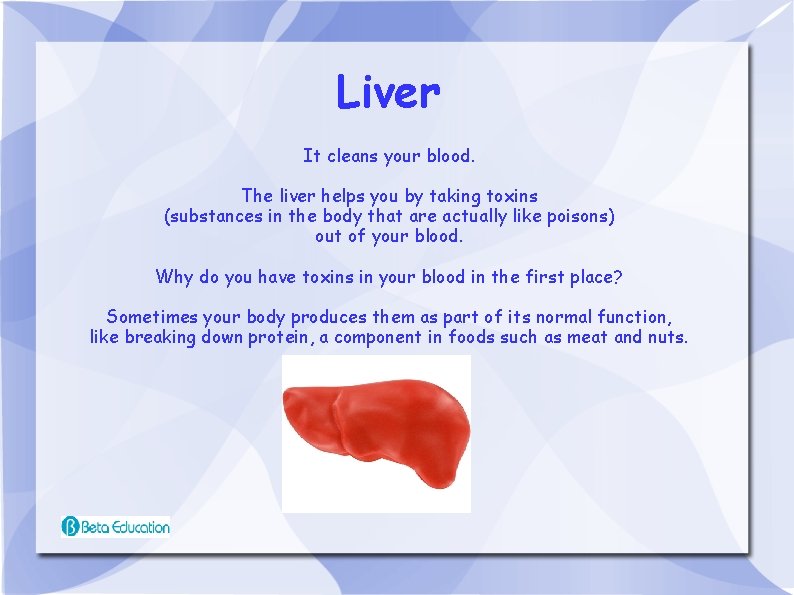 Liver It cleans your blood. The liver helps you by taking toxins (substances in