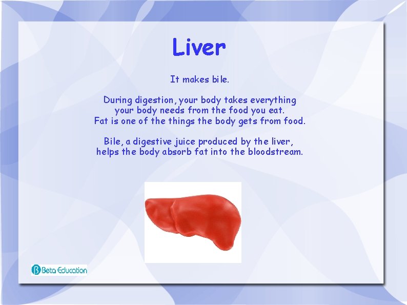 Liver It makes bile. During digestion, your body takes everything your body needs from