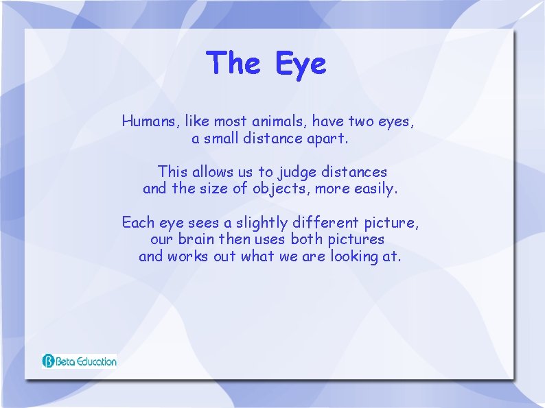 The Eye Humans, like most animals, have two eyes, a small distance apart. This