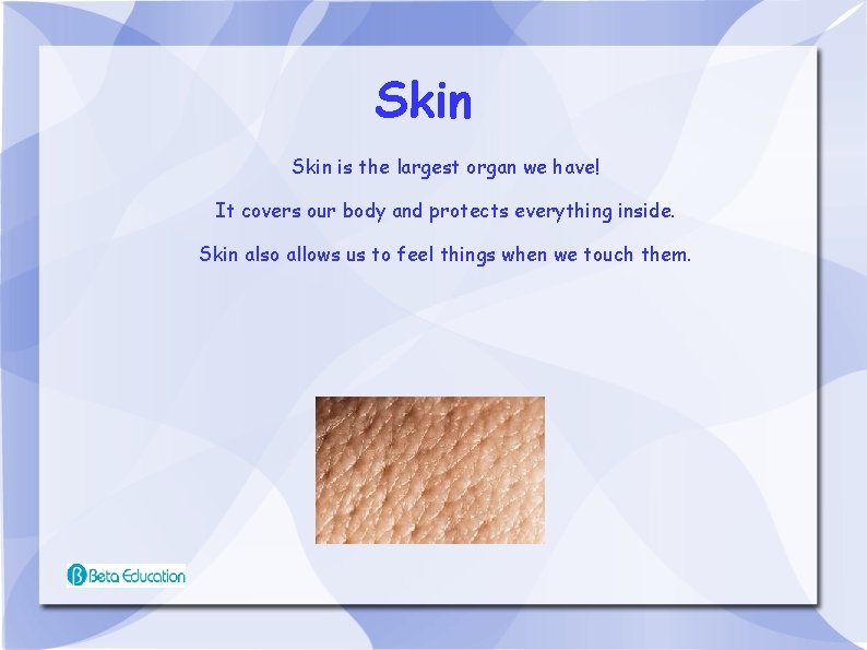 Skin is the largest organ we have! It covers our body and protects everything