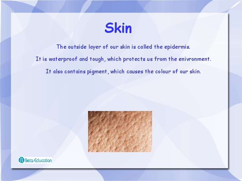 Skin The outside layer of our skin is called the epidermis. It is waterproof