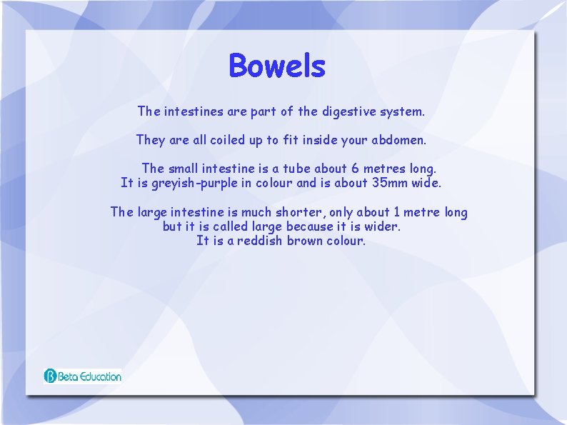 Bowels The intestines are part of the digestive system. They are all coiled up