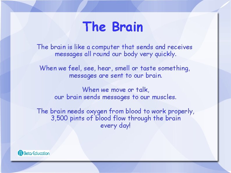 The Brain The brain is like a computer that sends and receives messages all