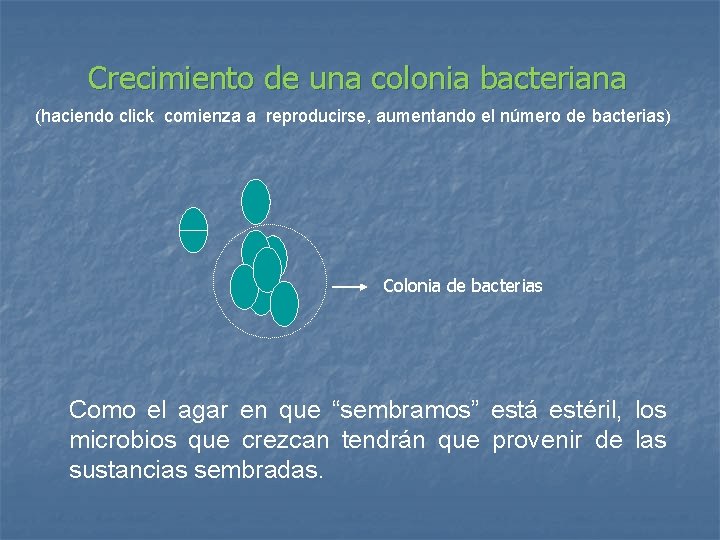 Crecimiento de una colonia bacteriana (haciendo click comienza a reproducirse, aumentando el número de