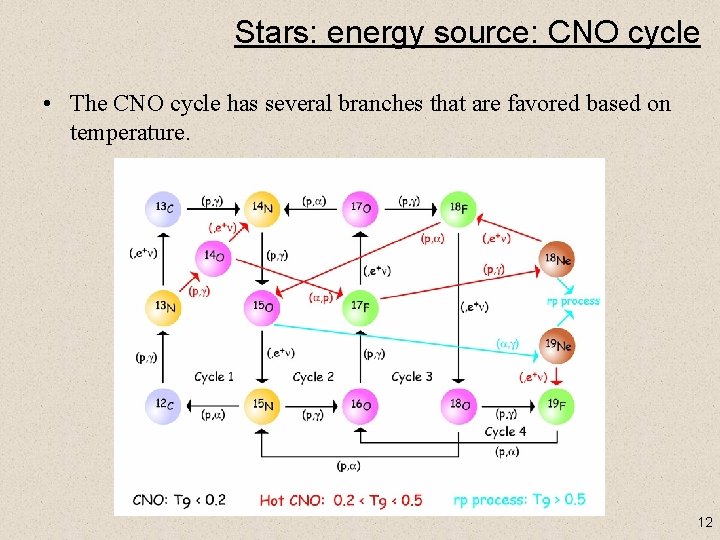 Stars: energy source: CNO cycle • The CNO cycle has several branches that are