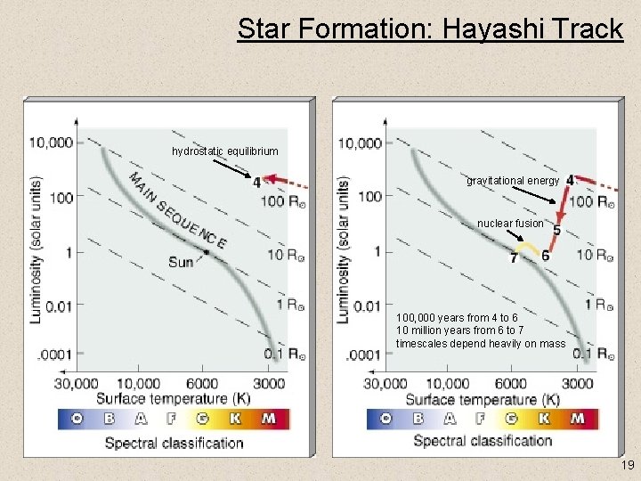 Star Formation: Hayashi Track hydrostatic equilibrium gravitational energy nuclear fusion 100, 000 years from