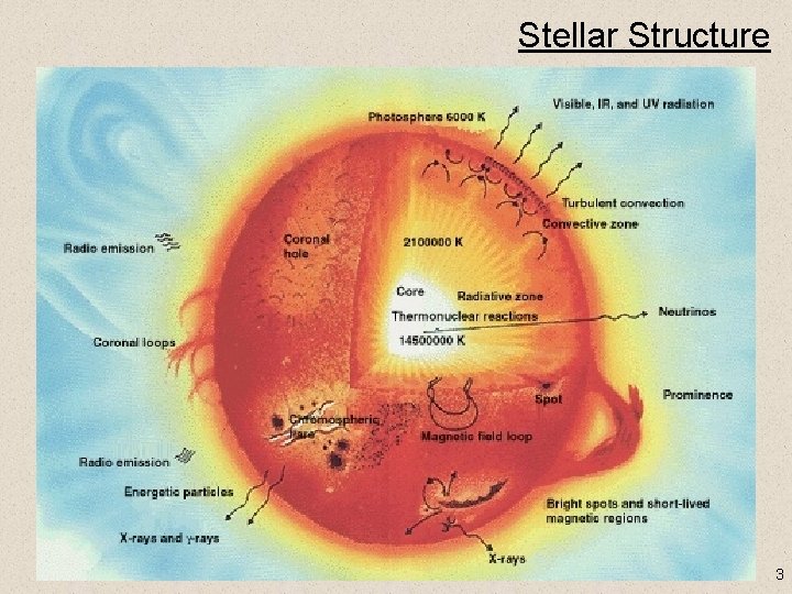 Stellar Structure 3 