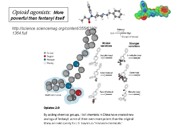 Opioid agonists: More powerful than fentanyl itself http: //sciencemag. org/content/355/6332/ 1364. full 